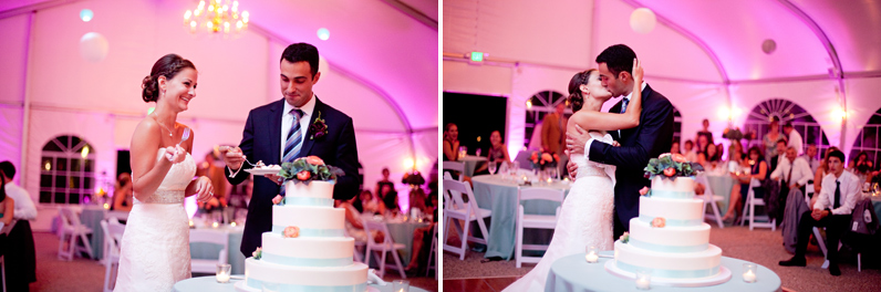 misselwood wedding reception - cake cutting