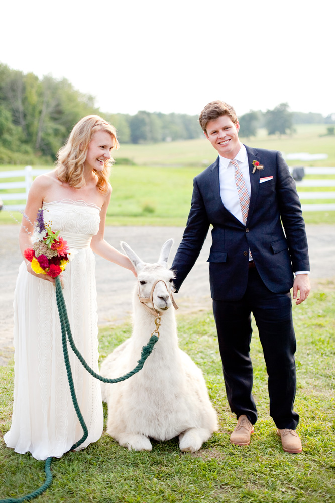 bride and groom with llama